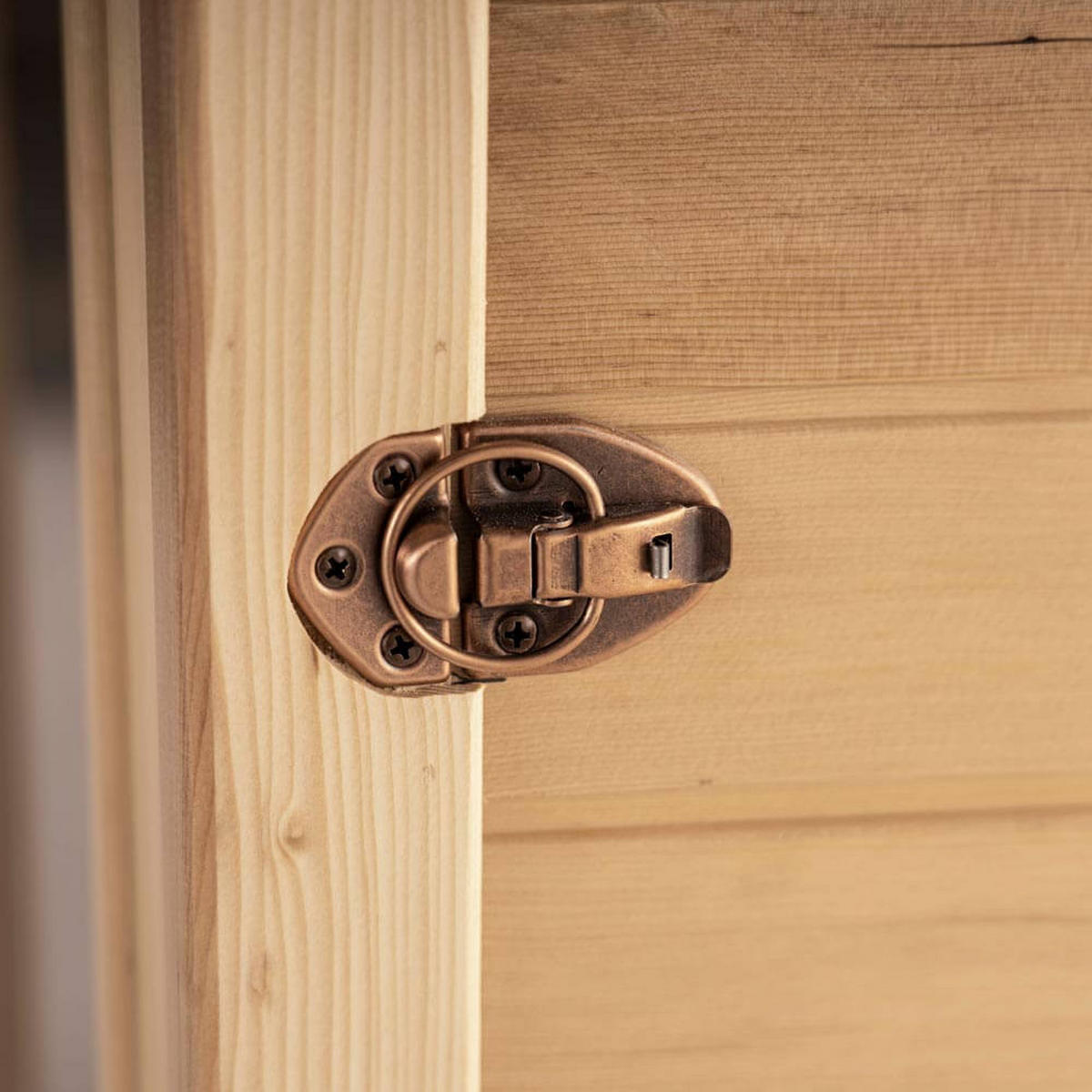 INFRAROTKABINE mit Vollspektrumstrahler REDSUN M - 120 x 105 cm für 2 Personen - Braun, Holz (120/190/105cm) - Home Deluxe