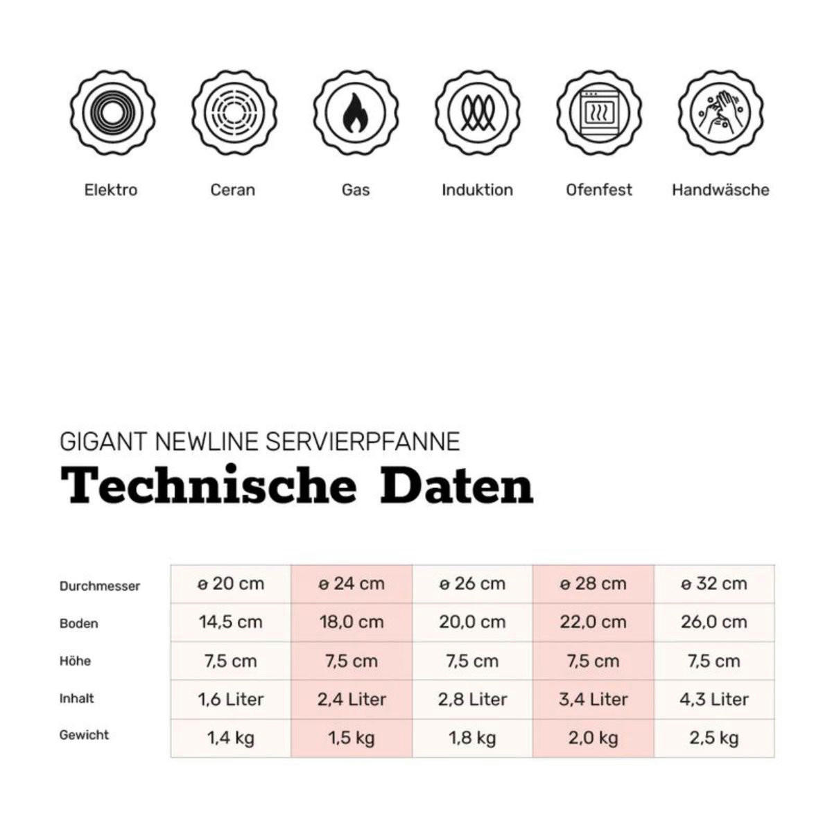 SERVIERPFANNE 24 cm GIGANT Newline für alle Herdarten - Schwarz, Metall (24cm) - BAF