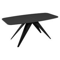 TISCH Ferro 160 - Schwarz, Holzwerkstoff/Metall (80/160/76cm) - MIRJAN24
