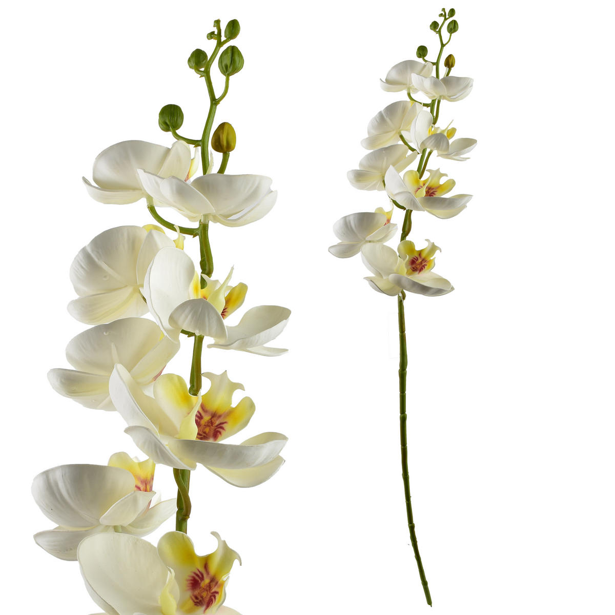 UMĚLÁ ORCHIDEJ, bílá - bílá, plast (85cm) - Mondex
