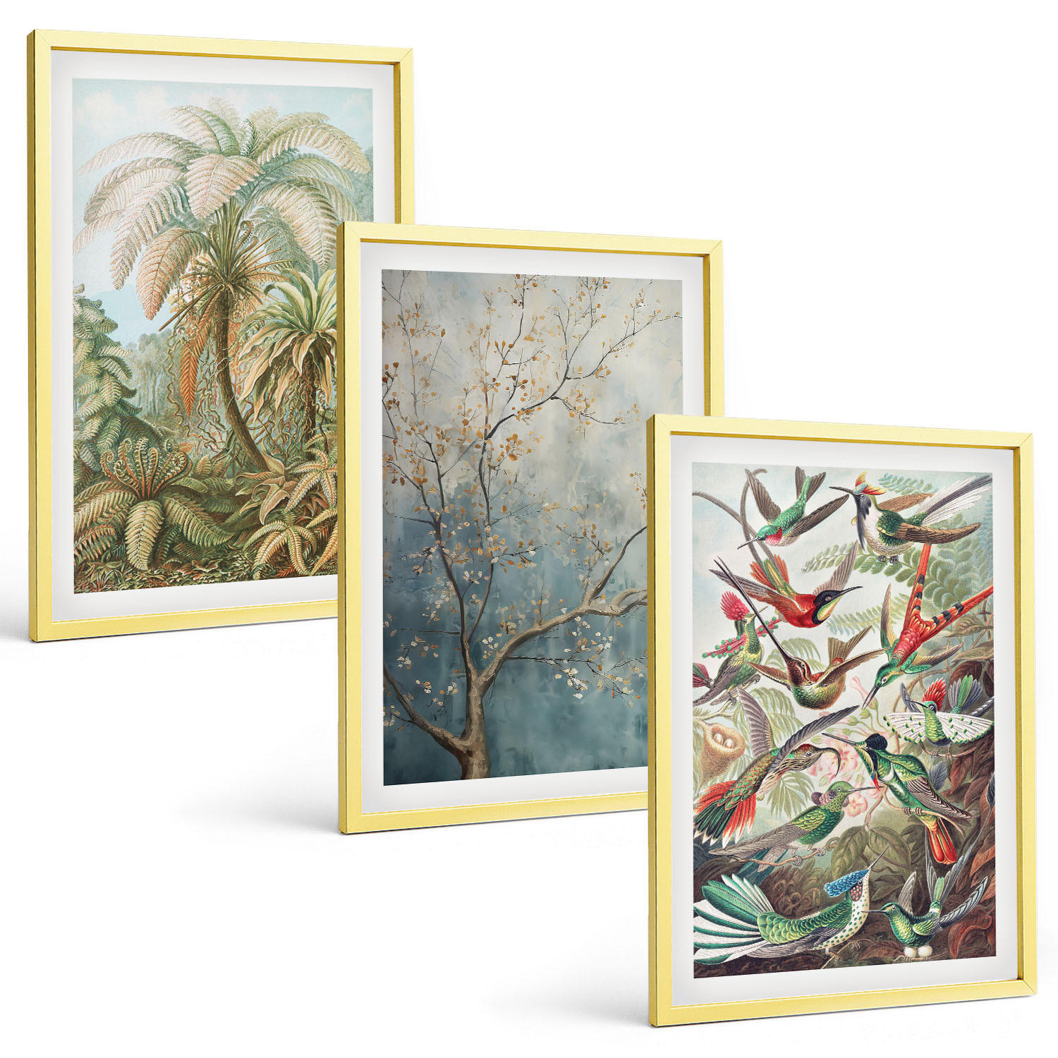 BILDER SET 3er Set - 40x60 cm Goldrahmen - Tropische Pflanzen, Vögel, Natur - Goldfarben, Kunststoff (40/60cm) - TULUP