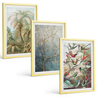 BILDER SET 3er Set - 40x60 cm Goldrahmen - Tropische Pflanzen, Vögel, Natur - Goldfarben, Kunststoff (40/60cm) - TULUP