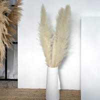 PAMPASGRAS gebleicht - weiß / 110 cm - Beige, Naturmaterialien (110cm) - Lykke & You