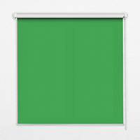 VNÚTORNÁ roleta - okenná roleta - roleta - 100x100 cm - Zelená - zelená, plast (100/100/0.5cm) - TULUP