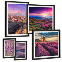 BILDER SET 5er Set - 50x50 cm & 20x30 cm & 40x60 cm Schwarzer Rahmen - Sonnenuntergang auf Lavendelfeldern - Schwarz, Kunststoff (40/60cm) - TULUP