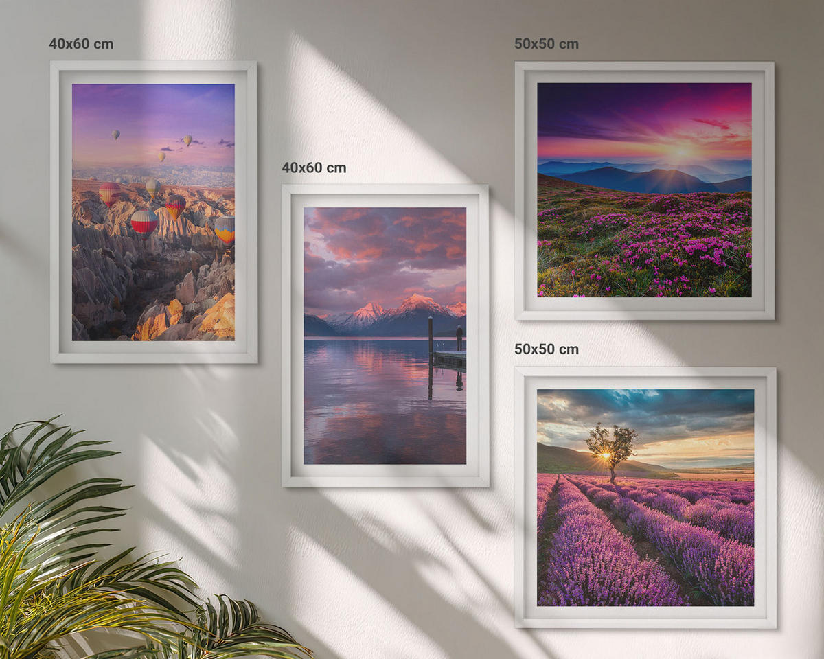 BILDER SET 4er Set - 50x50 cm & 40x60 cm Weißer Rahmen - Sonnenuntergang auf Lavendelfeldern - Weiß, Kunststoff (50/50cm) - TULUP