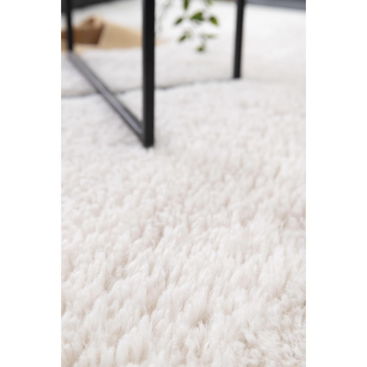 TEPPICH Gala schneeweiß 120 x 170 x 3 cm - Weiß, Textil (120/170cm) - Vivaraise