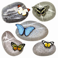WANDTATTOO Kieselsteine 30 x 30 cm - Grau, Papier (30/30/30cm) - Sanders & Sanders