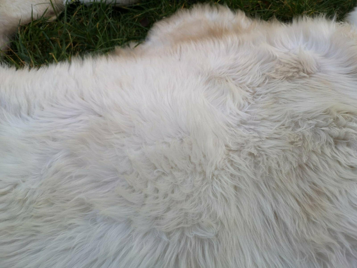 SCHAFFELL Lammfell natur meliert extra weich, ca. 110 cm, 3 Stück - Weiß/Naturfarben, Fell (60/110cm) - Provellus