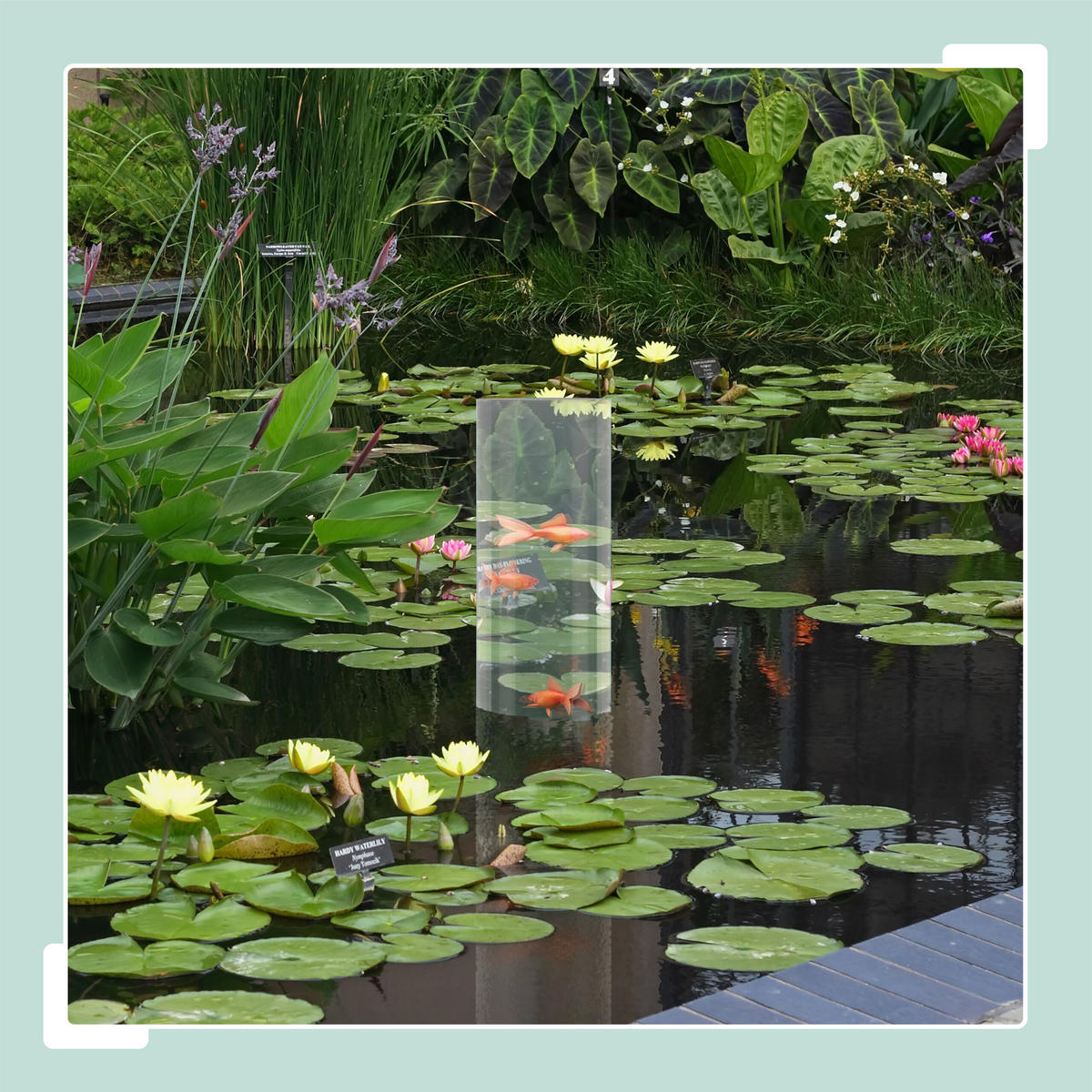 FISCHSÄULE - Transparent, Kunststoff/Metall (22/22/60cm) - Relaxdays