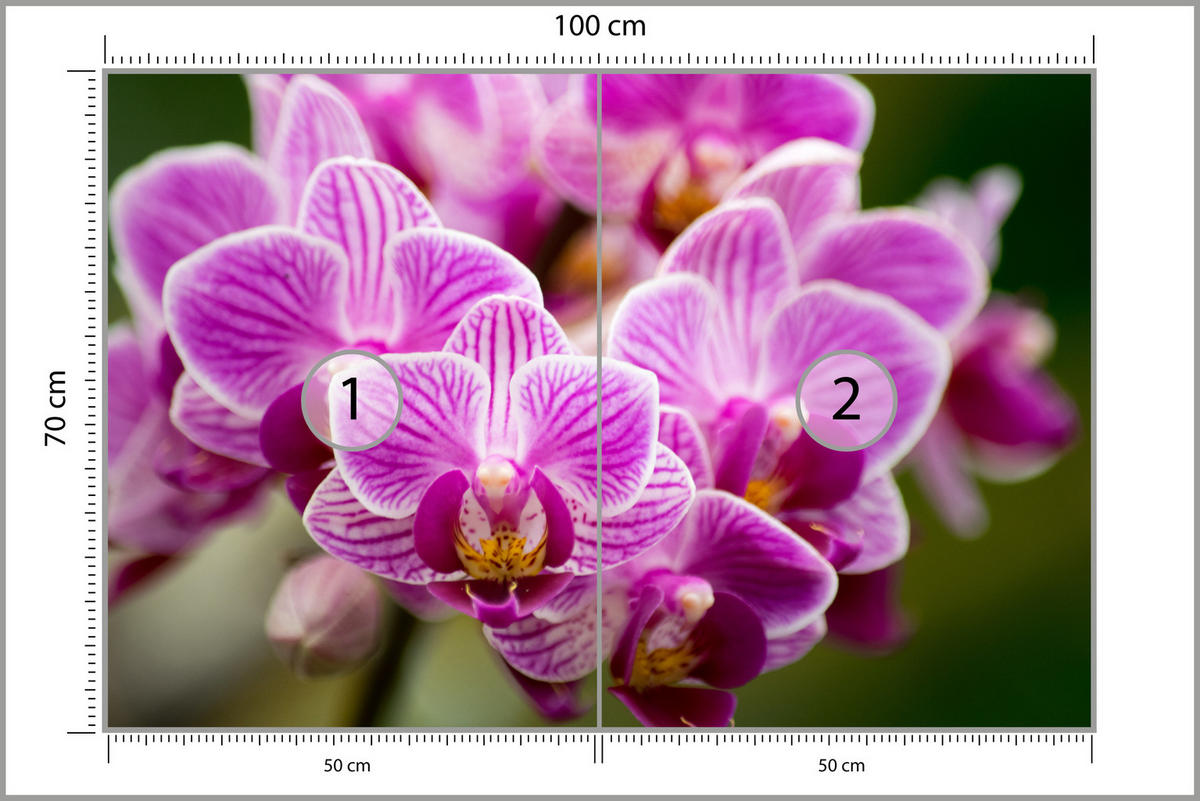FOTOTAPETE für Wohnzimmer Violetter Orchideenstrauß Blumen 100x70 - Violett/Rosa, Papier (100/70cm) - Muralo
