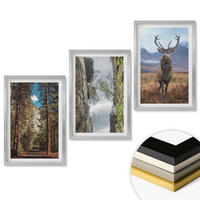 WANDBILDER 3er Set - 40x60 cm Silberner Rahmen - Straße Wald Berge Hirsch Natur - Silberfarben, Kunststoff (40/60cm) - ArtPrintCave