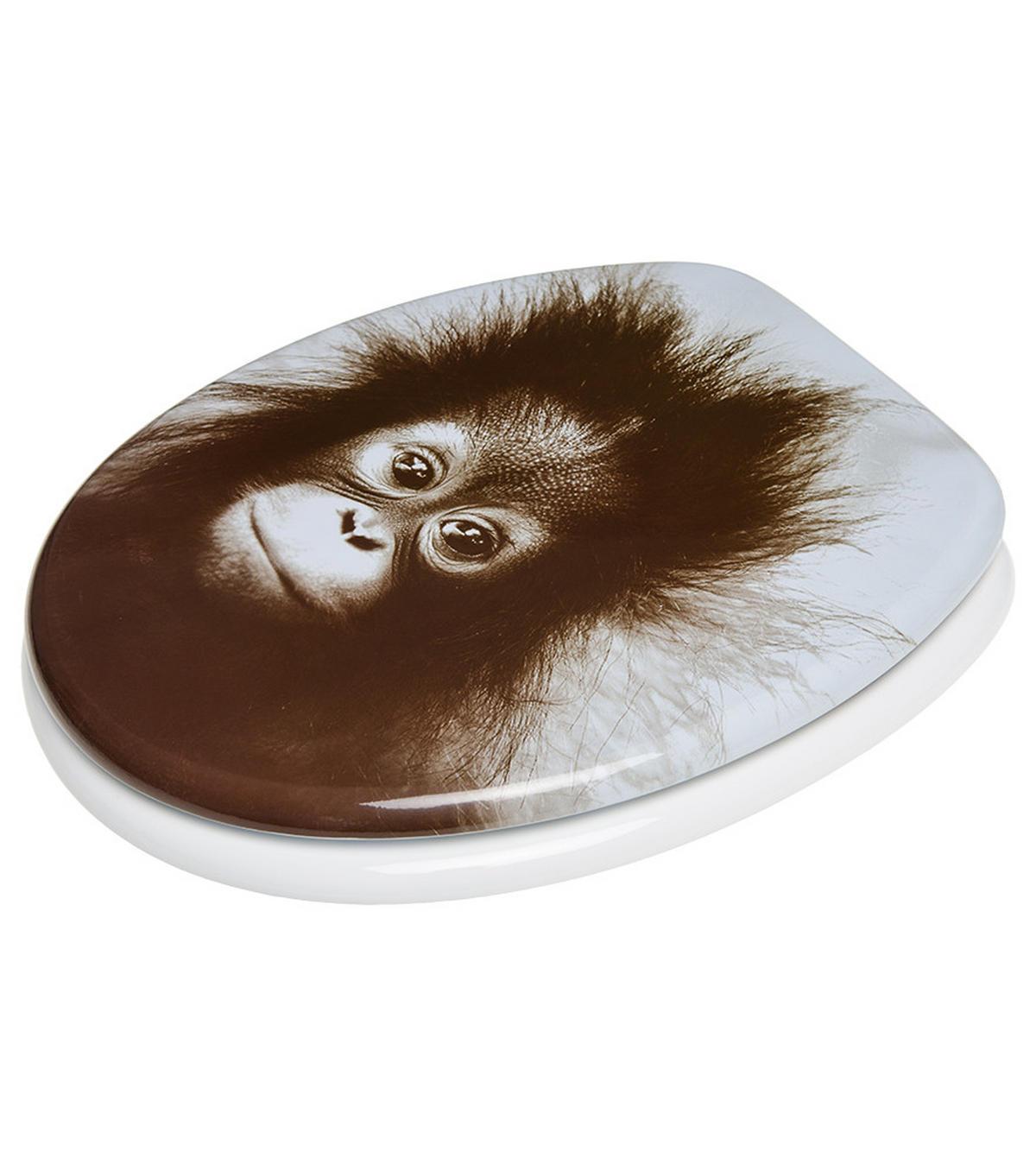 WC-SITZ Alfred - Braun, Holzwerkstoff (38/6/47cm) - Sanilo