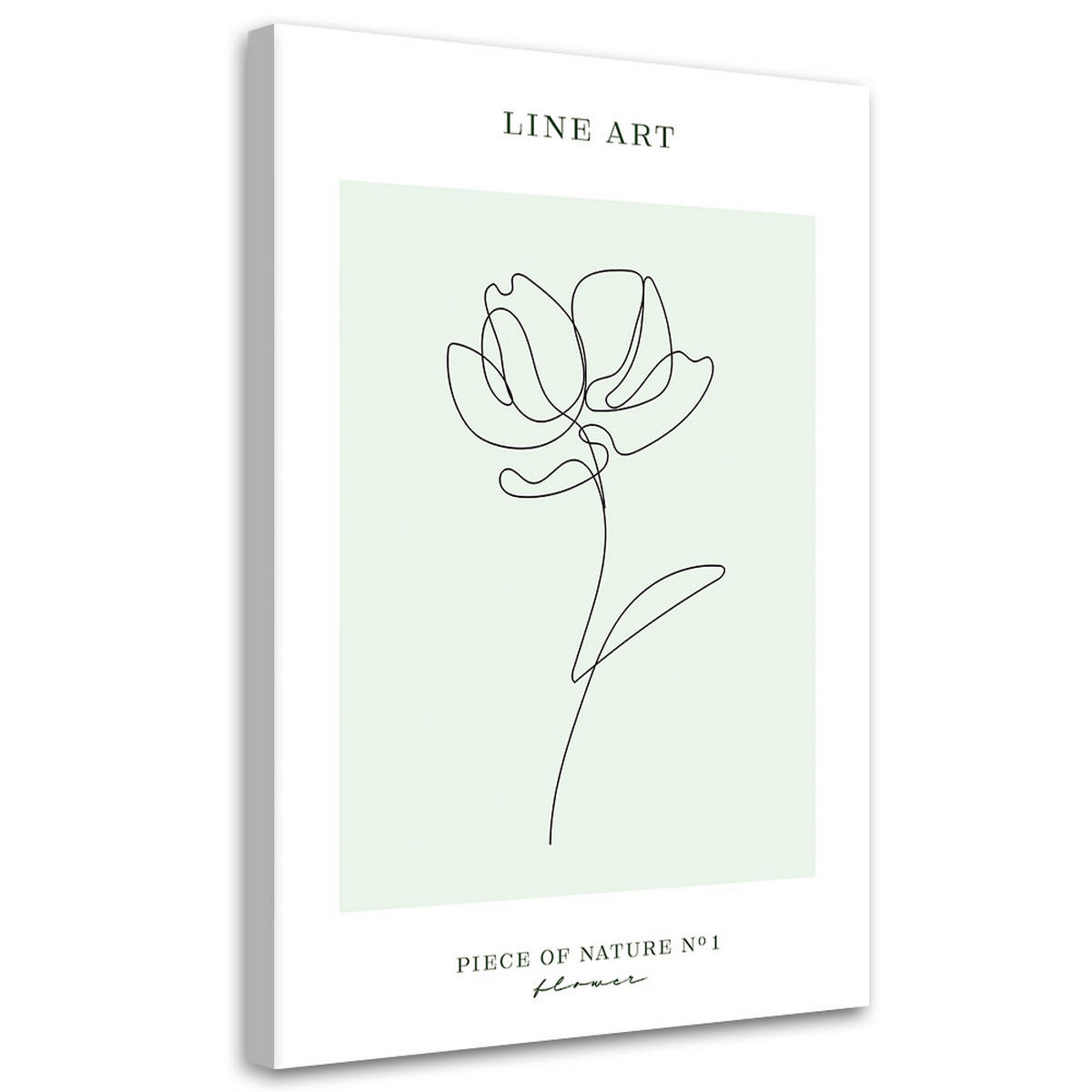 WANDBILD blume line art - Türkis, Textil (40/60cm) - Feeby