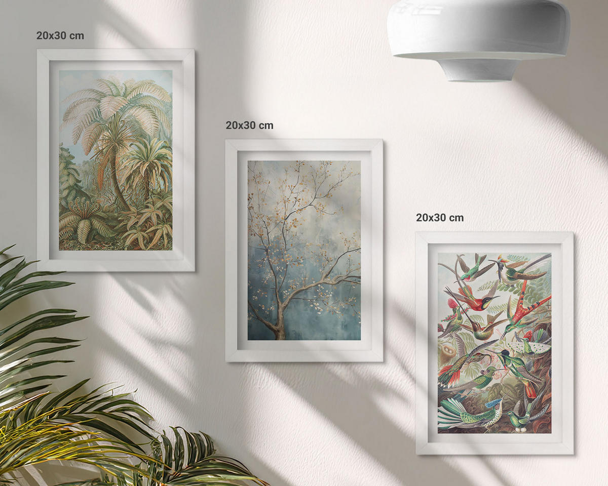 WANDBILDER 3er-Set - 20x30 cm Weißer Rahmen - Tropische Pflanzen, Vögel, Natur - Weiß, Kunststoff (20/30cm) - ArtPrintCave