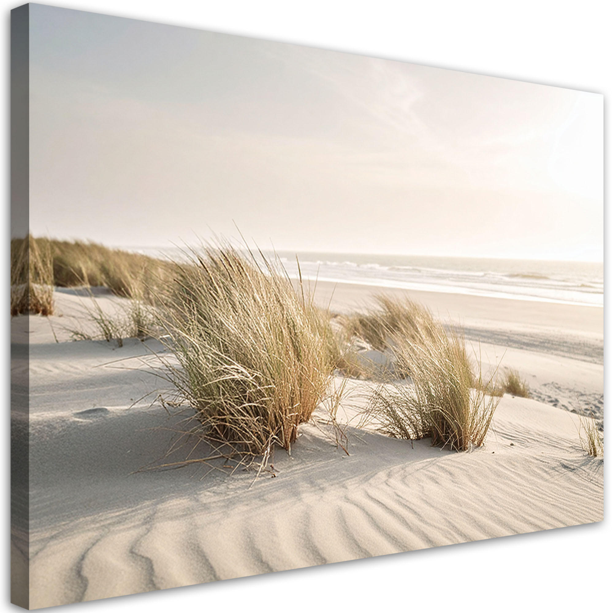 LEINWANDBILD Strand Meer Dünen Natur Pflanzen 90x60cm - Beige, Textil (90/60cm) - Feeby