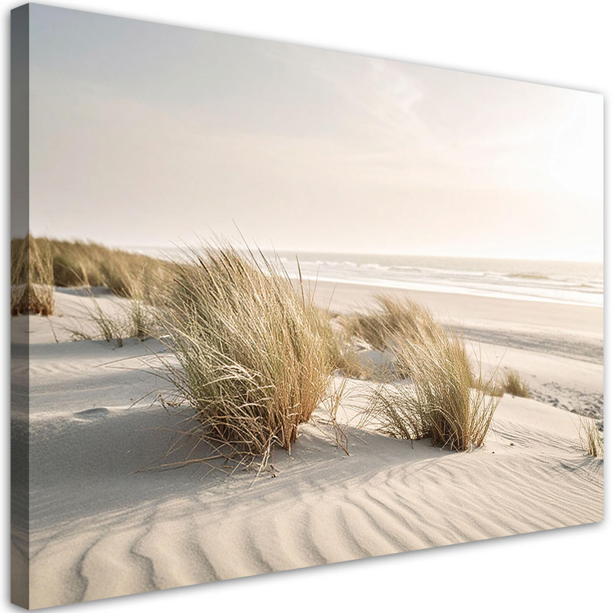 LEINWANDBILD Strand Meer Dünen Natur Pflanzen 90x60cm - Beige, Textil (90/60cm) - Feeby