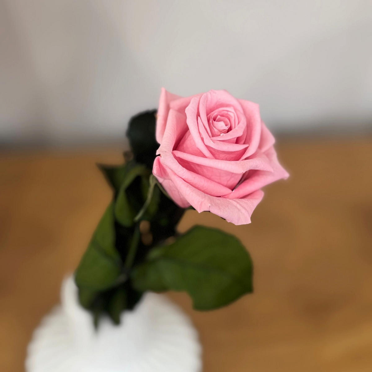 KONSERVIERTE/GEFRIERGETROCKNETE, Rosen: Zeitlose Eleganz für die Ewigkeit - weiß / 30 cm - Weiß, Naturmaterialien (30cm) - Lykke & You