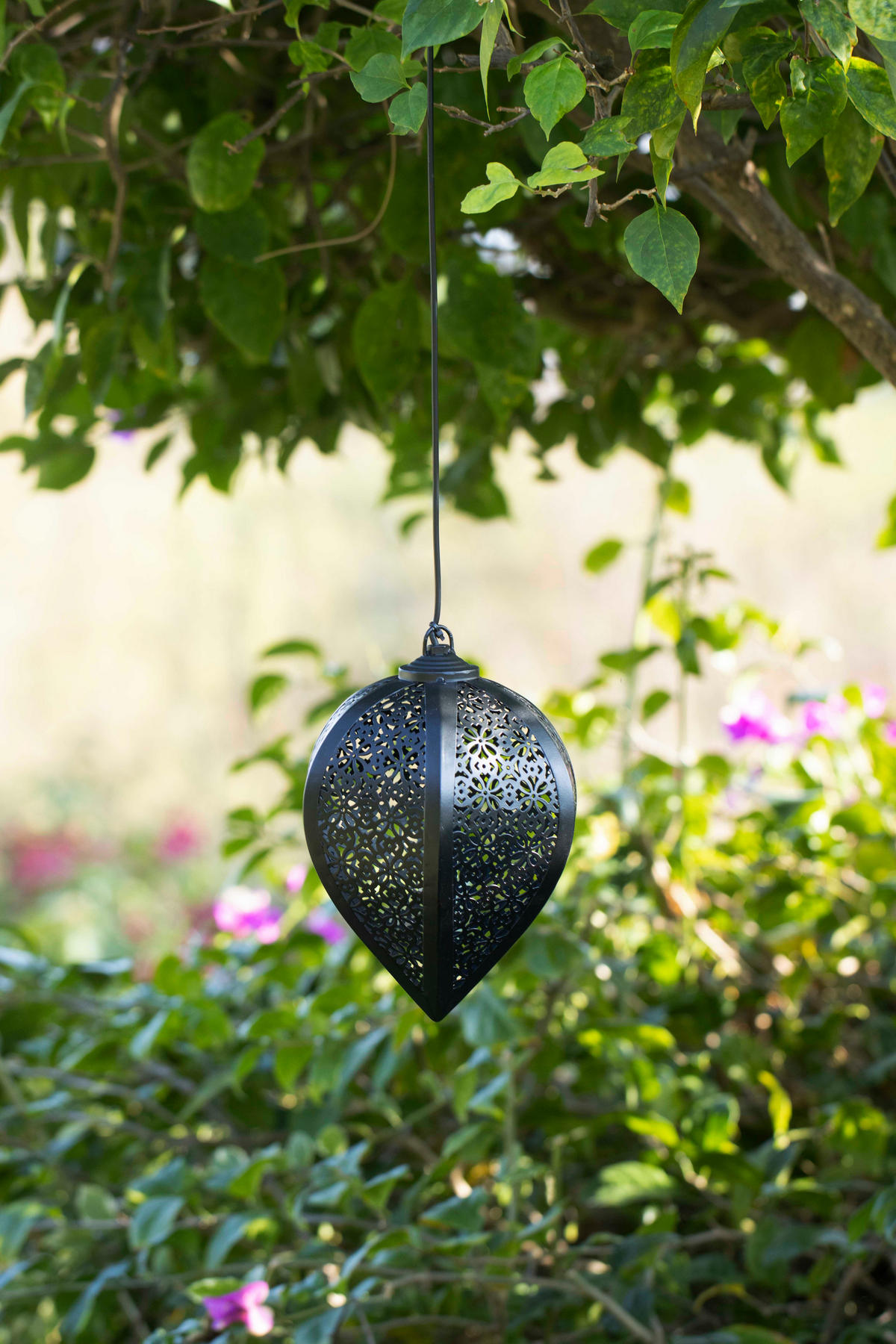 LED-SOLAR-HÄNGELEUCHTE - wetterfest mit Dämmerungssensor und Schattenspiel für Garten und Terrasse, Schwarz, 1er-Set - Schwarz, Metall (15.5/15.5/76cm) - Northpoint