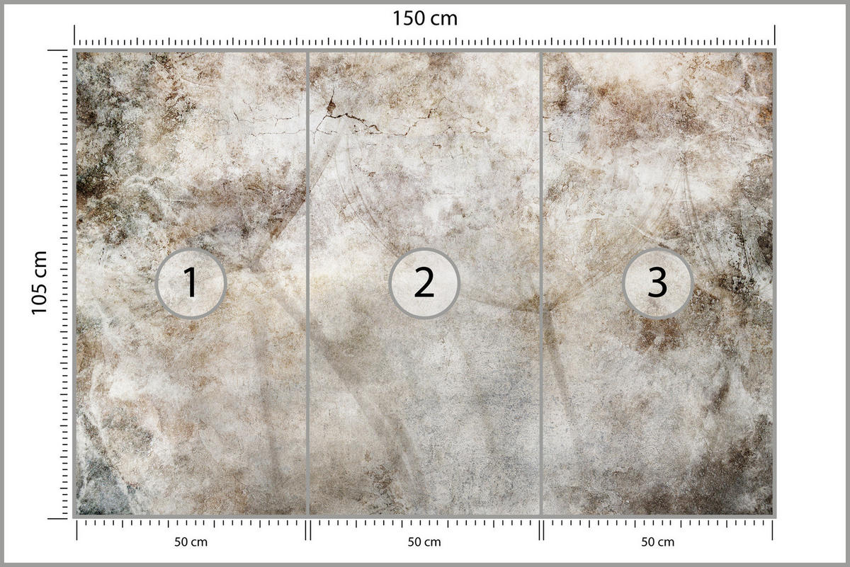 FOTOTAPETE Löwenzahnsamen Beton Retro Stil 150x105 - Beige/Braun, Papier (150/105cm) - Muralo