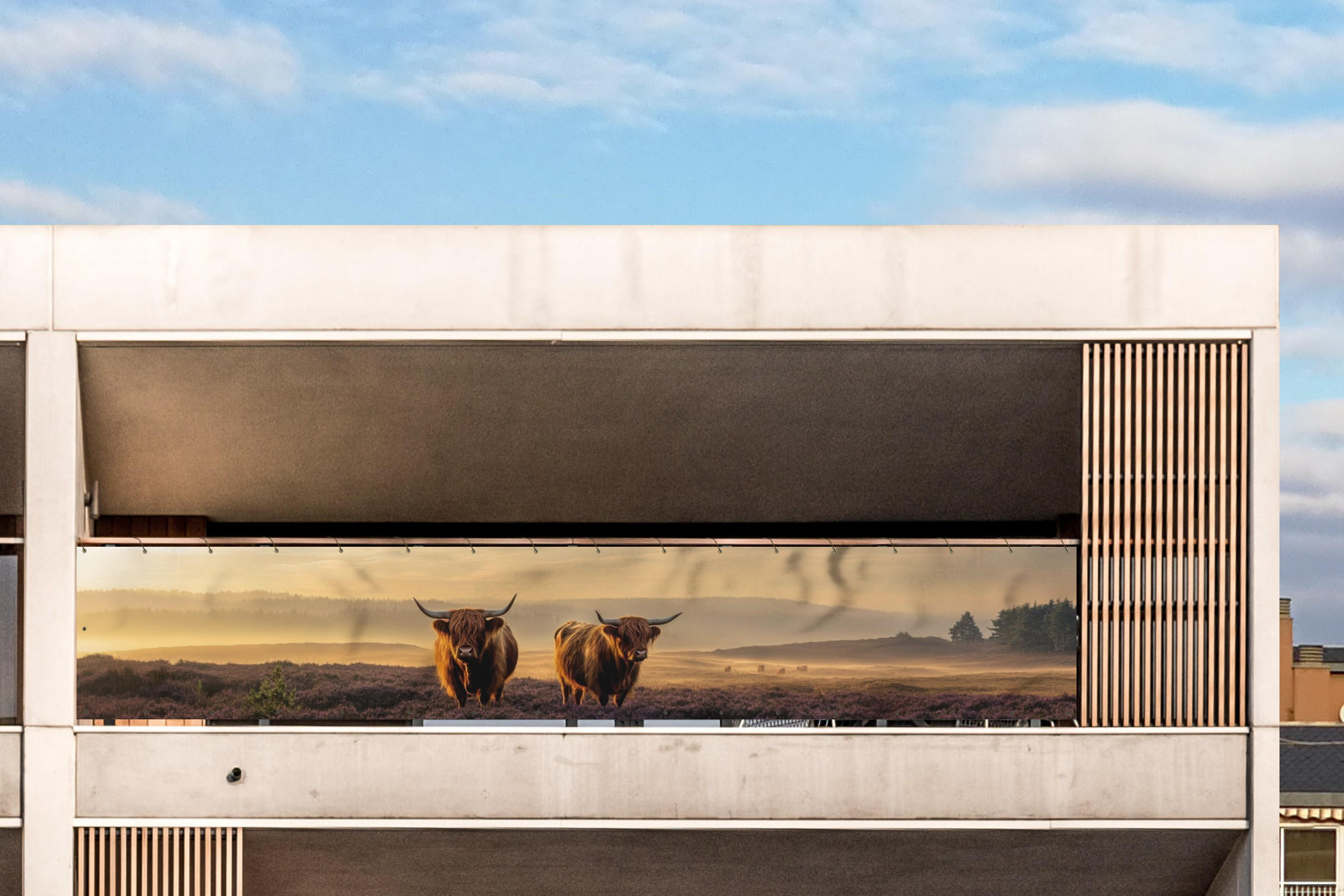BALKON-SICHTSCHUTZ Schottische Hochlandbewohner - Heide - Landschaft - Tiere - Cognac, Kunststoff (500/80cm) - MuchoWow