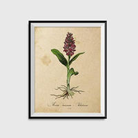 POSTER Orchidee. A3 Rahmenlos - Klar, Papier (29.7/5/42cm) - Nacnic