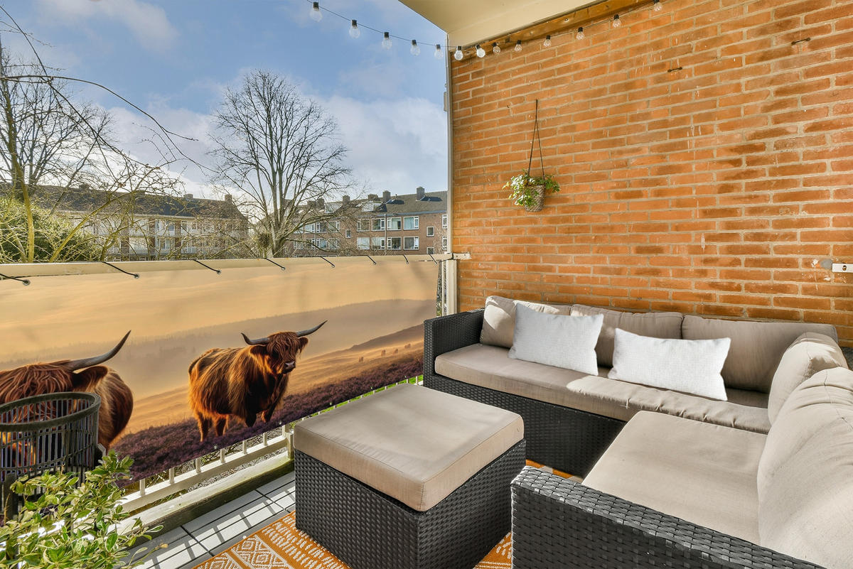 BALKON-SICHTSCHUTZ Schottische Hochlandbewohner - Heide - Landschaft - Tiere - Cognac, Kunststoff (300/110cm) - MuchoWow