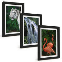 BILDER SET 3er Set - 20x30 cm Schwarzer Rahmen - Tiger Wasserfall Flamingos Natur - Schwarz, Kunststoff (20/30cm) - TULUP