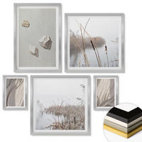 WANDBILDER 5er Set - 50x50 cm & 20x30 cm & 40x60 cm Silberner Rahmen - Nahaufnahmen der Struktur im Boho-Stil - Silberfarben, Kunststoff (40/60cm) - ArtPrintCave