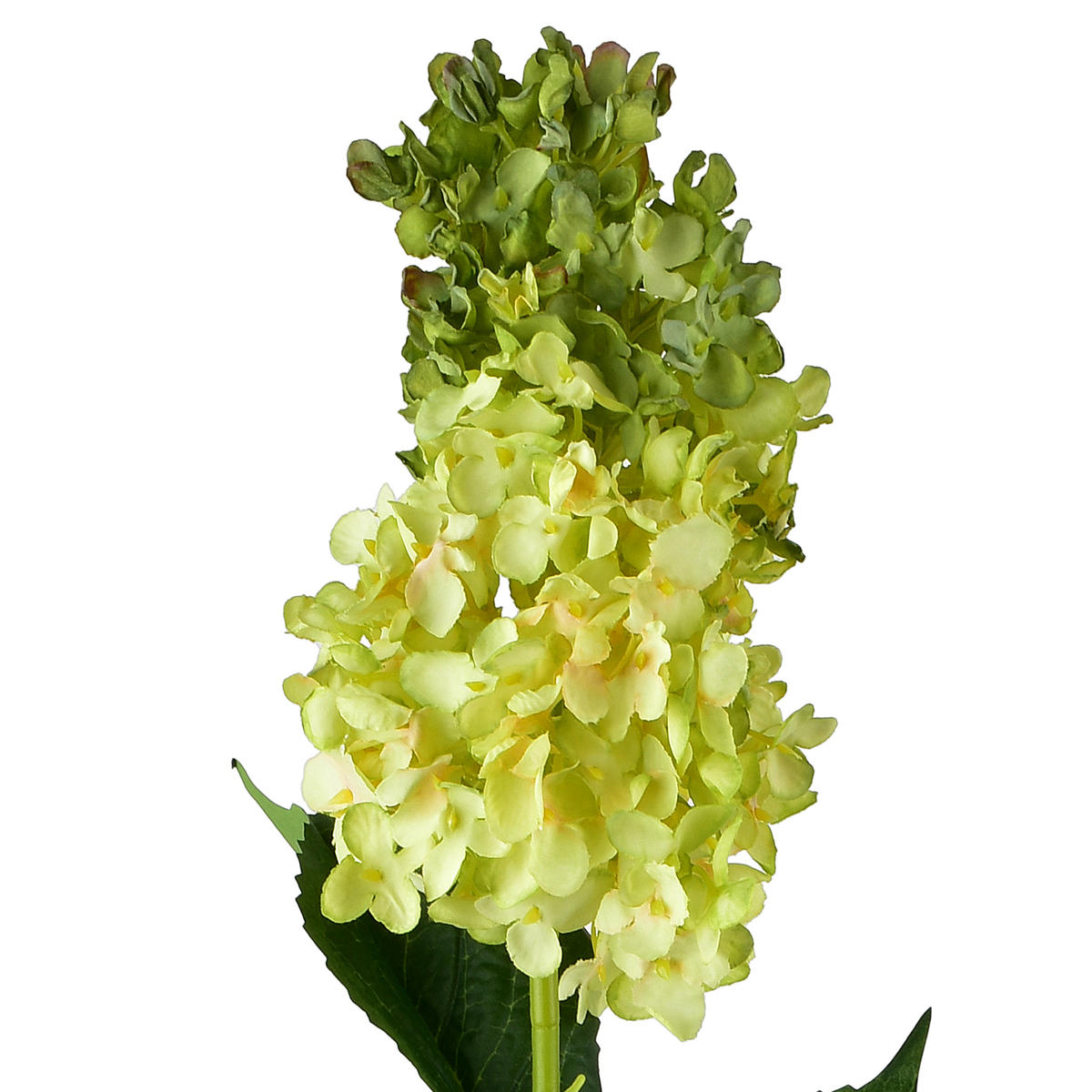 UMĚLÁ KVĚTINOVÁ VĚTEV Viridis, 80 cm - zelená barva, plast (80cm) - Mondex