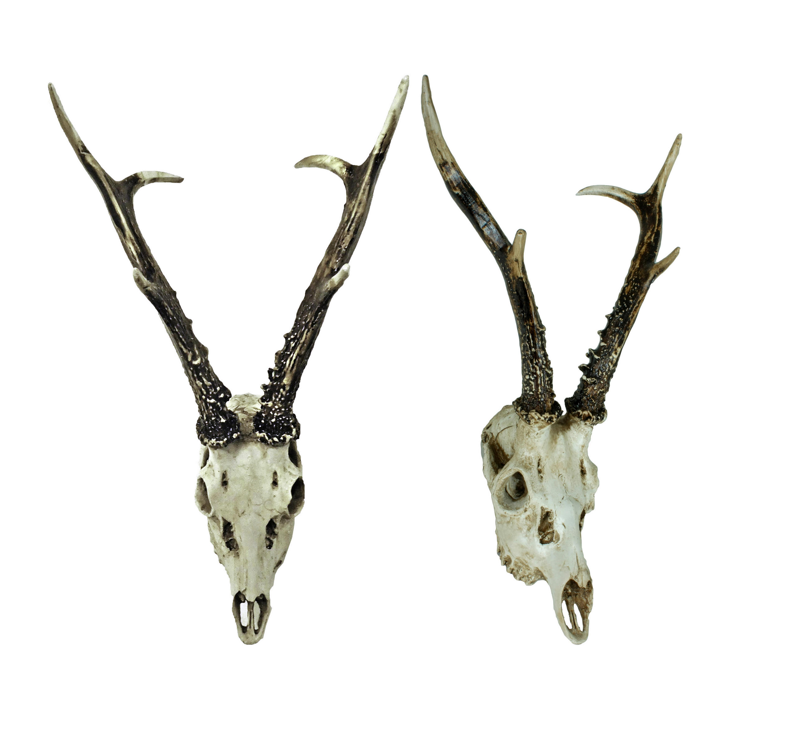 DEKO-GEWEIH Reh 2er Set Natur 24x39x23,5cm - Hellbraun, Kunststoff (39/24/23.5cm) - DELUKE