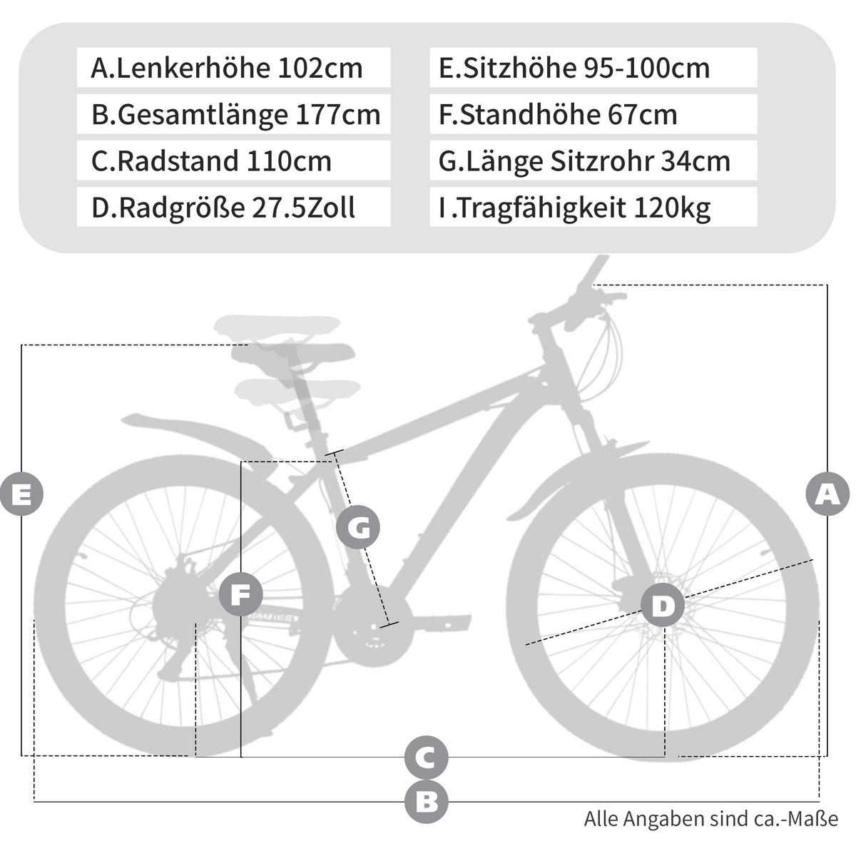 MOUNTAINBIKE 28 Zoll Blau – 21-Gang-Schaltung – Scheibenbremsen – Stahlrahmen - Blau, Metall (102cm) - Oxeza
