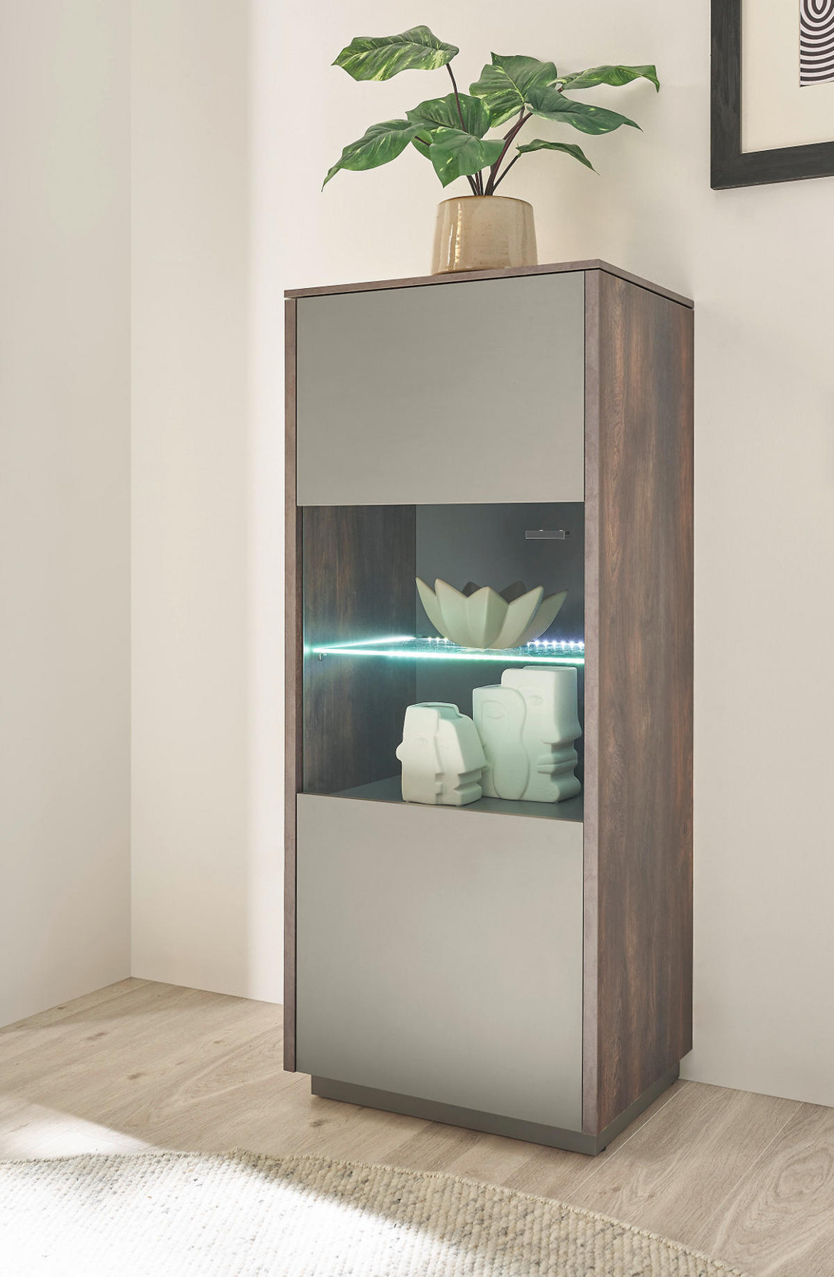 VITRINE in Eiche und grau Midischrank 55 x 130 cm - Schwarz/Grau, Glas/Holzwerkstoff (55/130/40cm) - Furn.Design