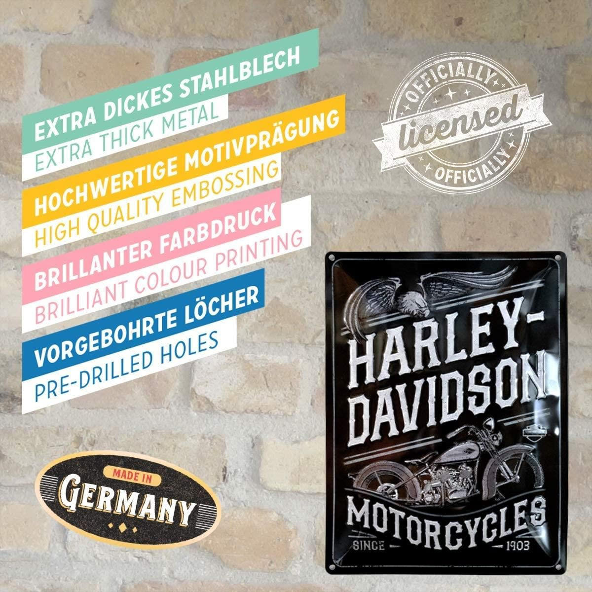 BLECHSCHILD 30/40 cm Harley-Davidson Motorcycles Eagle - Multicolor, Metall (30/40/0.2cm) - Nostalgic-Art