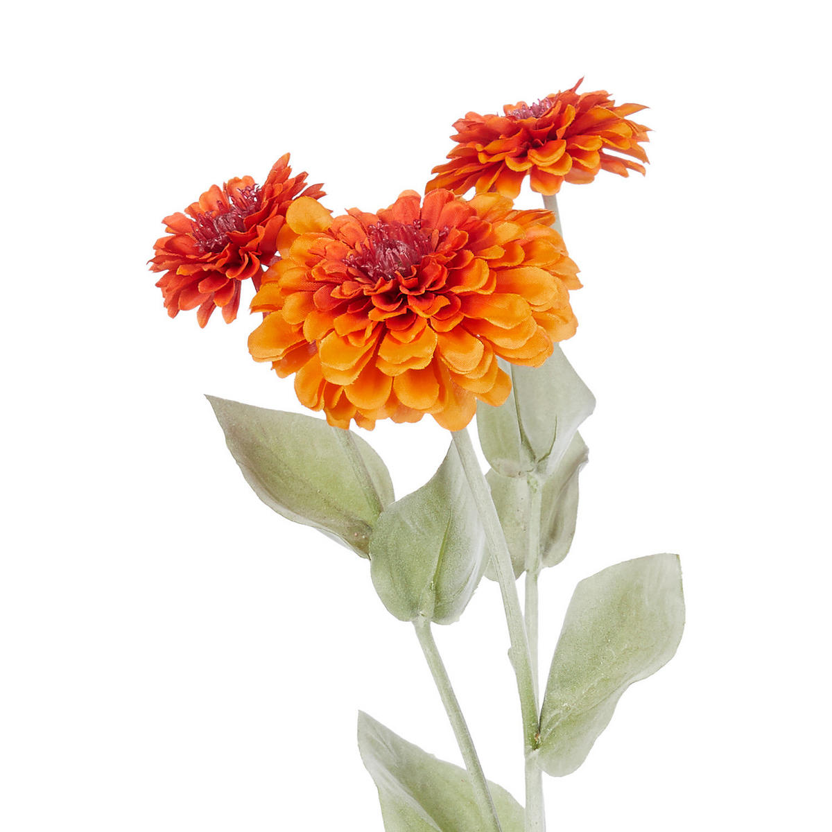 KUNSTBLUME Florista Zinnia - Orange, Kunststoff (50cm) - Butlers
