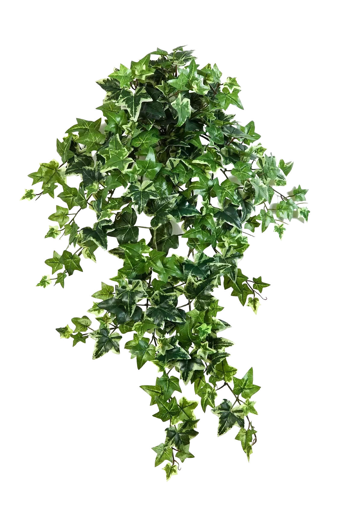 KUNSTPFLANZE Künstlicher Efeu - Alexandra 70 cm - Multicolor, Kunststoff (70cm) - aplanta