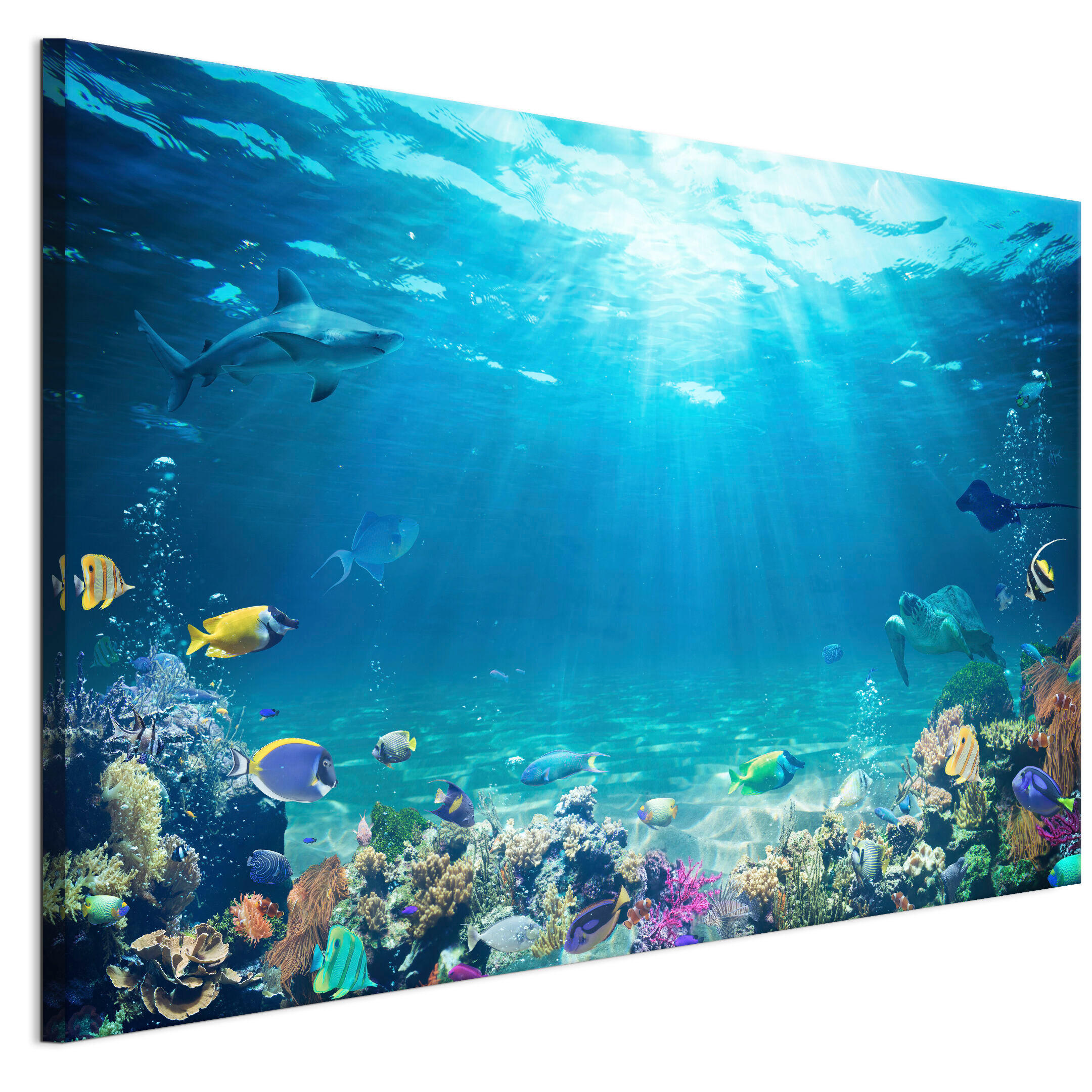 LEINWANDBILD Ozean 120x80 cm - Multicolor, Holz (120/80cm) - LUMASOUL