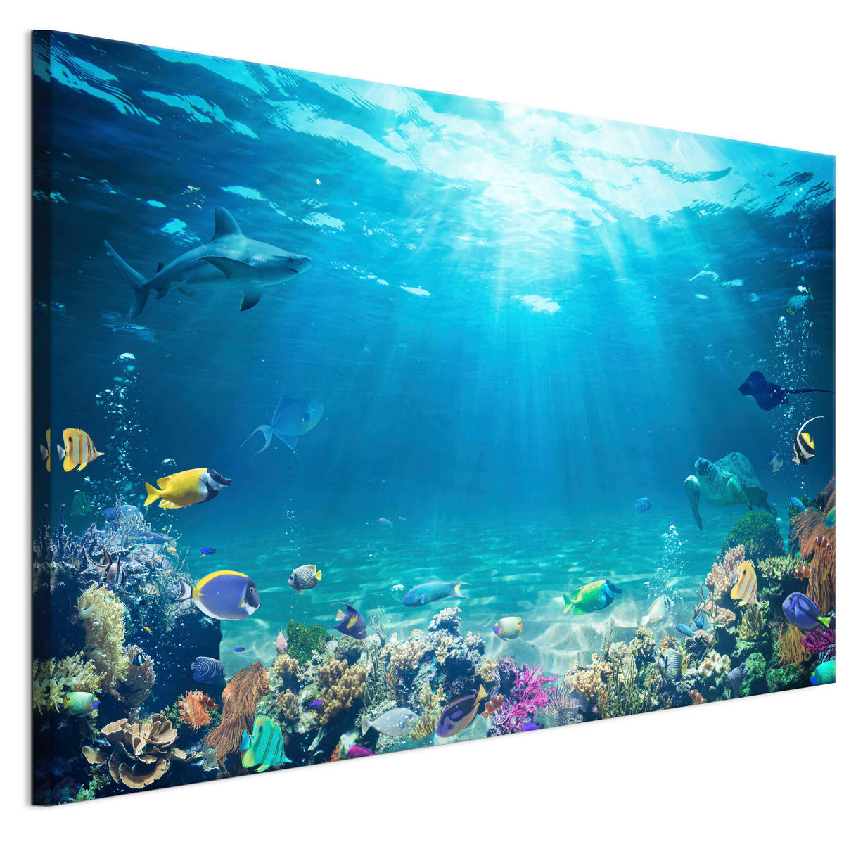 LEINWANDBILD Ozean 120x80 cm - Multicolor, Holz (120/80cm) - LUMASOUL