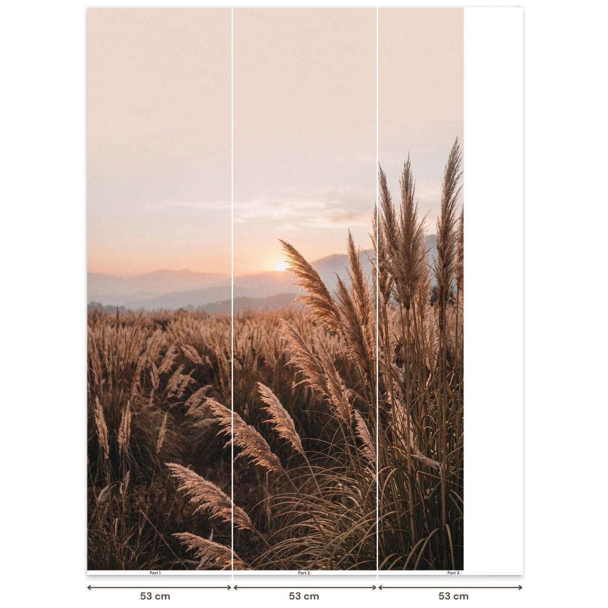 TAPETE - Gras - Feld - Sonne - Natur - 140x200 cm - Sandfarben, Papier (140/200cm) - OnlyWow