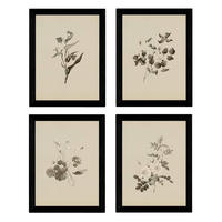 POSTER Set mit 4 Botanische Jahrgang Hintergrund farbige Blumen A3 Rahmenlos - Klar, Papier (29.7/3cm) - Nacnic