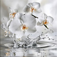 GLASBILD 50x50 cm Blumen Orchideen weiß-silber - Silberfarben, Glas (50/50cm) - artissimo