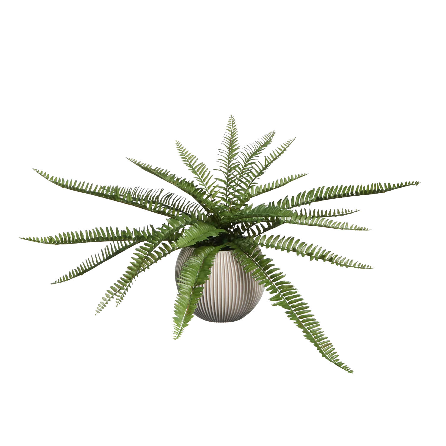 KUNSTPFLANZE Künstlicher Schwertfarn - Bali 51 cm - Grün, Kunststoff (51cm) - aplanta