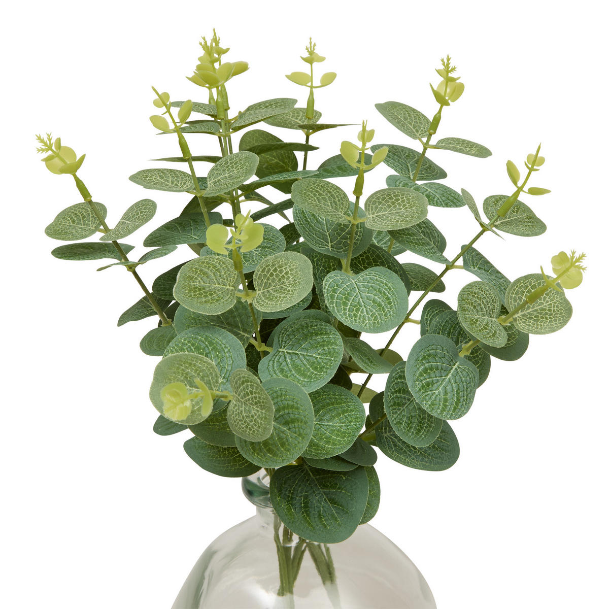 EUKALYPTUS-KOMPOSITION Glasvase Urice 20/20/35 cm - Transparent, Glas (35cm) - Atmosphera Createur d´interieur