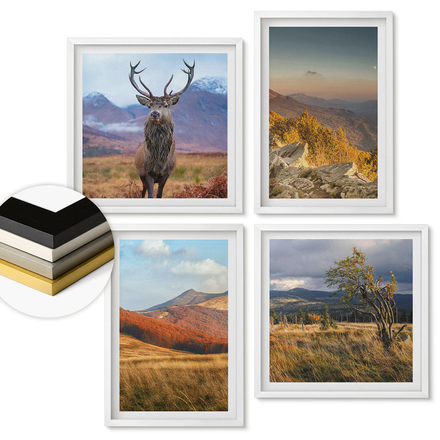 WANDBILDER 4er-Set - 50x50 cm & 40x60 cm Weißer Rahmen - Berglandschaften, Hirschgras - Weiß, Kunststoff (50/50cm) - ArtPrintCave