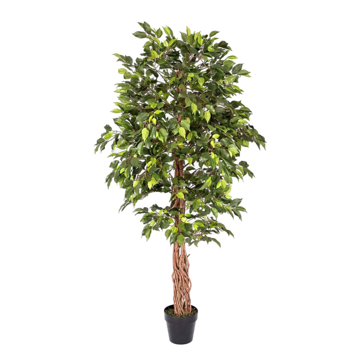 KUNSTBAUM Ficus benjamini, 180 cm - Grün, Kunststoff (180cm) - Homescapes