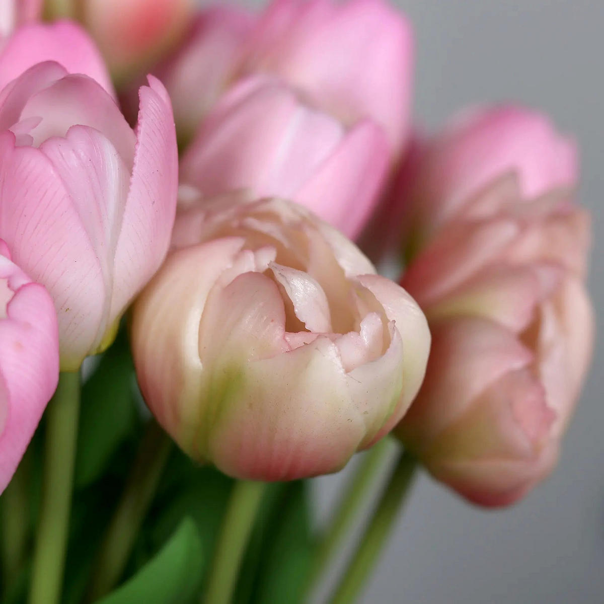 KUNSTBLUME Künstlicher Tulpenstrauß - Vegeta 36 cm in Glasvase mit künstl. Wasser - Rosa, Kunststoff (36cm) - aplanta