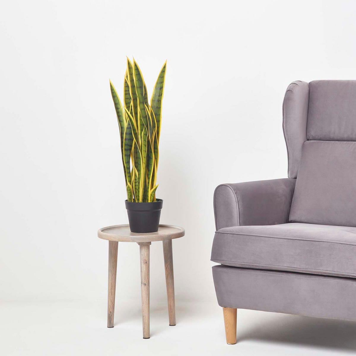 KUNSTPFLANZE Bogenhanf grün-gelb, 74 cm - Grün, Kunststoff (74cm) - Homescapes