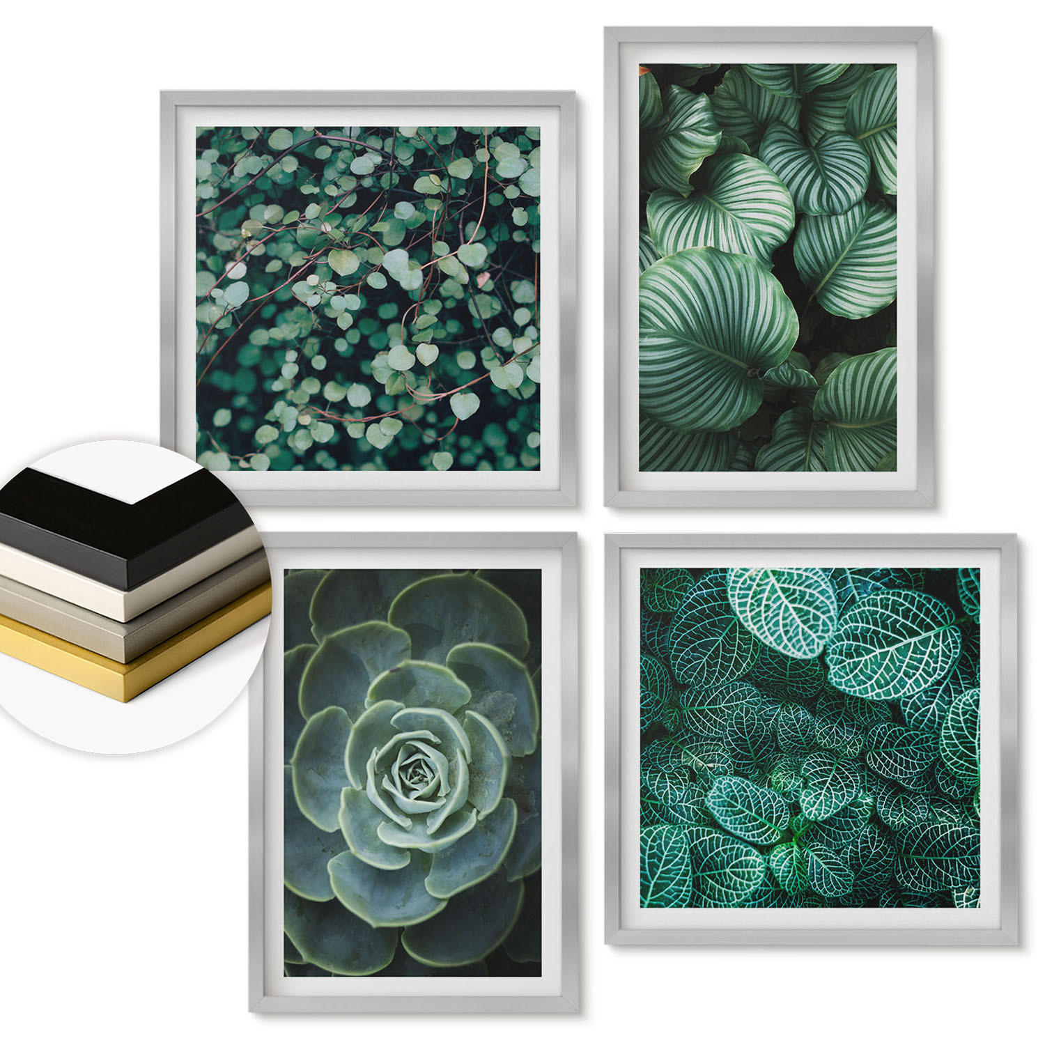 WANDBILDER 4er Set - 50x50 cm & 40x60 cm Silberner Rahmen - Grüne, saftige Blätter - Silberfarben, Kunststoff (50/50cm) - ArtPrintCave