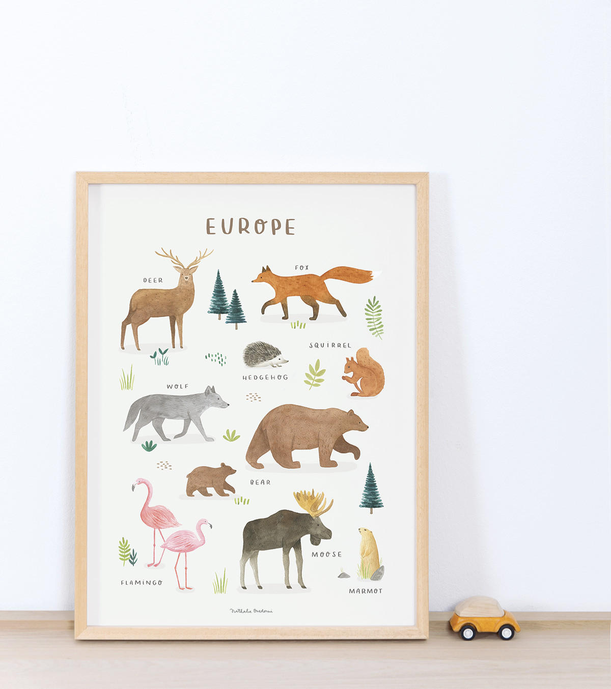 POSTER Tiere aus Europa, 30x40 cm - Multicolor, Papier (30/1/40cm) - Lilipinso