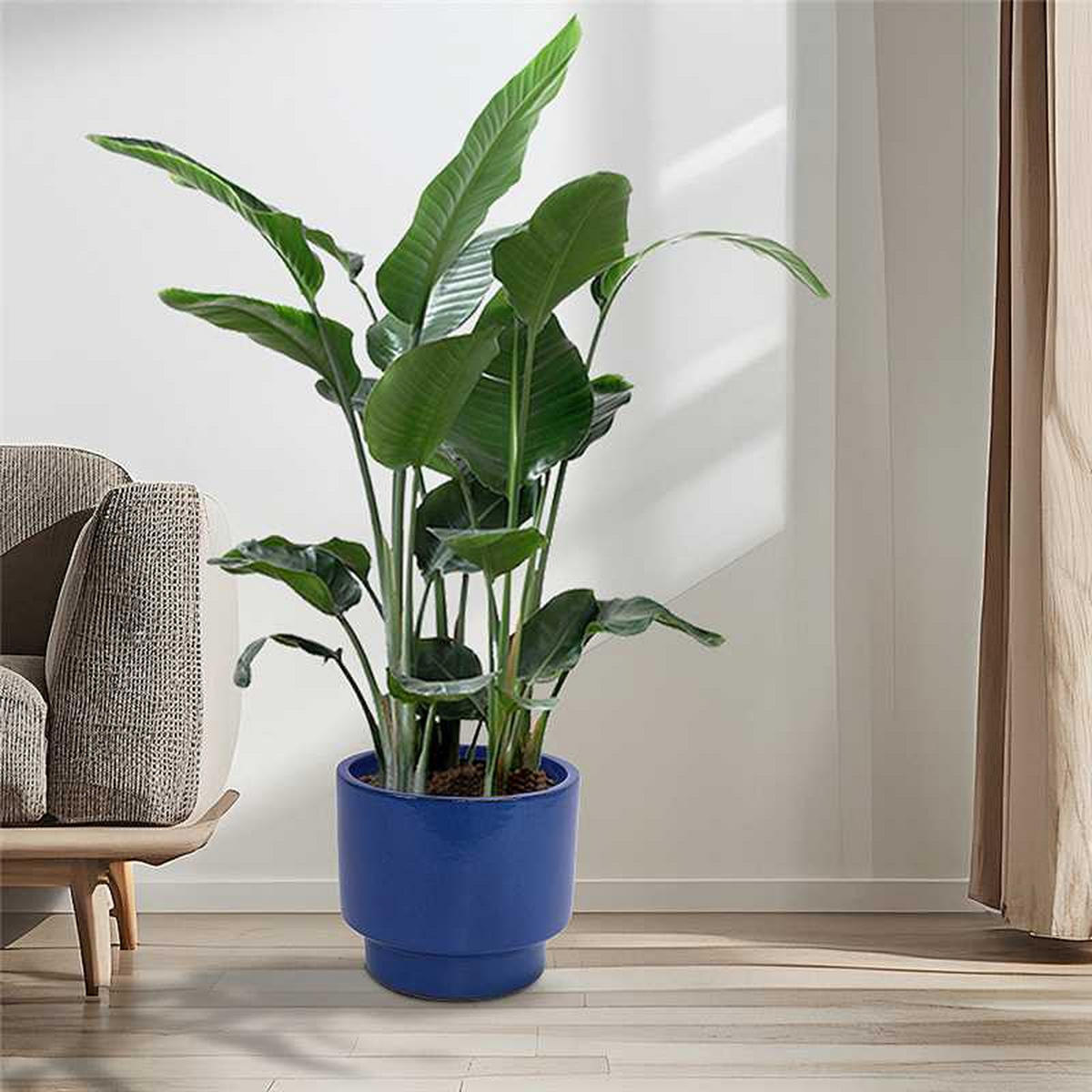 PFLANZTOPF Set 3er Keramik Ø38/30/22 cm blau einfarbig - Blau, Keramik (38/33/38cm) - Fortuna Lai